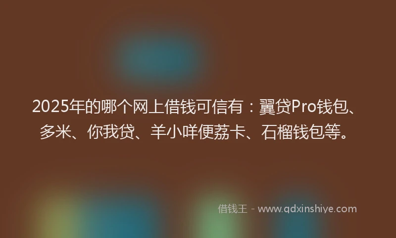 2025年的哪个网上借钱可信有：翼贷Pro钱包、多米、你我贷、羊小咩便荔卡、石榴钱包等。