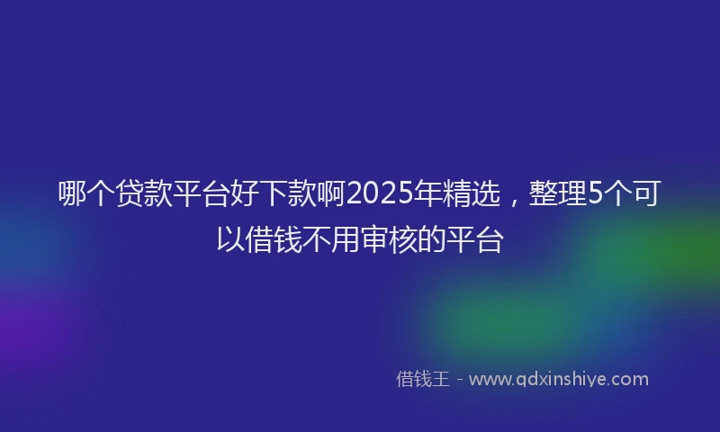 哪个贷款平台好下款啊2025年精选，整理5个可以借钱不用审核的平台