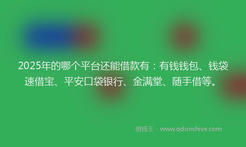 2025年的哪个平台还能借款有：有钱钱包、钱袋速借宝、平安口袋银行、金满堂、随手借等。