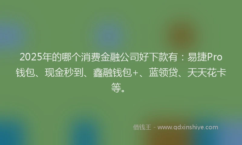 2025年的哪个消费金融公司好下款有：易捷Pro钱包、现金秒到、鑫融钱包+、蓝领贷、天天花卡等。