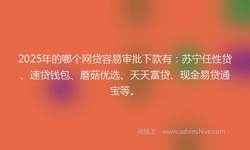 2025年的哪个网贷容易审批下款有：苏宁任性贷、速贷钱包、蘑菇优选、天天富贷、现金易贷通宝等。