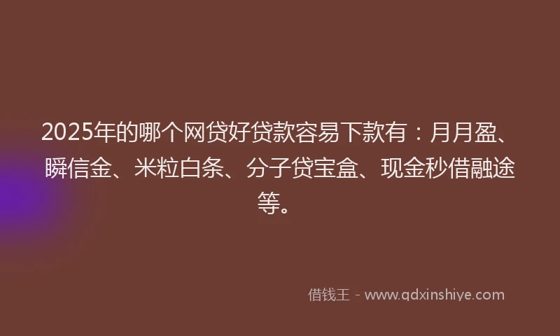 2025年的哪个网贷好贷款容易下款有：月月盈、瞬信金、米粒白条、分子贷宝盒、现金秒借融途等。