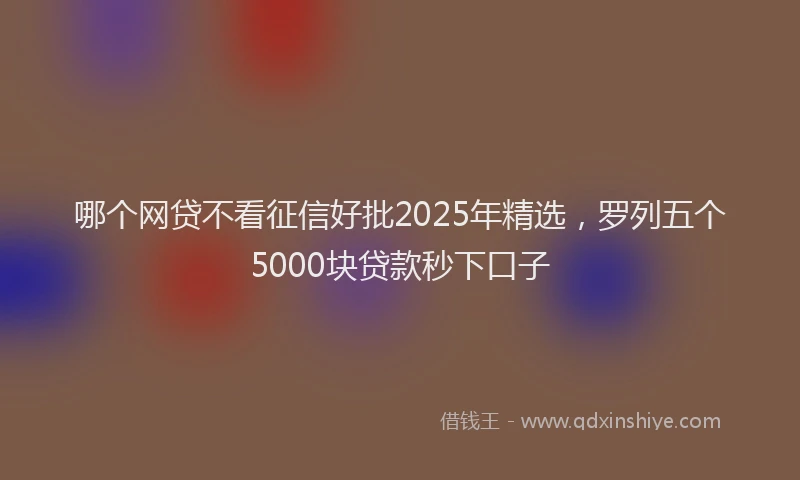 哪个网贷不看征信好批2025年精选，罗列五个5000块贷款秒下口子