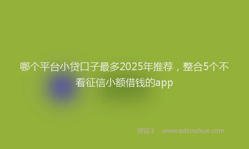 哪个平台小贷口子最多2025年推荐，整合5个不看征信小额借钱的app