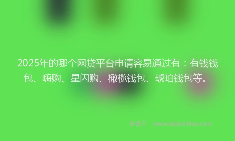 2025年的哪个网贷平台申请容易通过有：有钱钱包、嗨购、星闪购、橄榄钱包、琥珀钱包等。