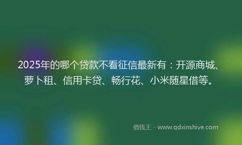 2025年的哪个贷款不看征信最新有：开源商城、萝卜租、信用卡贷、畅行花、小米随星借等。