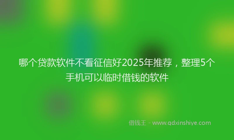 哪个贷款软件不看征信好2025年推荐，整理5个手机可以临时借钱的软件