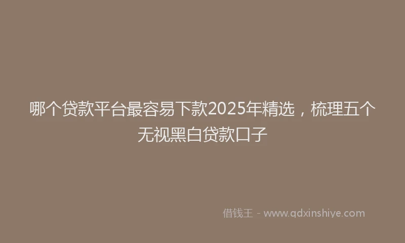 哪个贷款平台最容易下款2025年精选，梳理五个无视黑白贷款口子