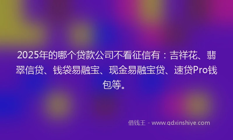 2025年的哪个贷款公司不看征信有：吉祥花、翡翠信贷、钱袋易融宝、现金易融宝贷、速贷Pro钱包等。