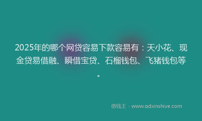 2025年的哪个网贷容易下款容易有:天小花、现金贷易借融、瞬借宝贷、石榴钱包、飞猪钱包等。