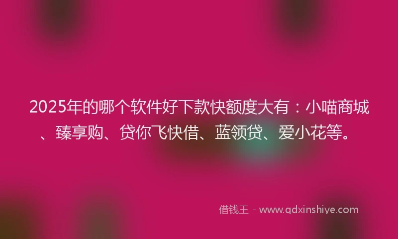 2025年的哪个软件好下款快额度大有:小喵商城、臻享购、贷你飞快借、蓝领贷、爱小花等。