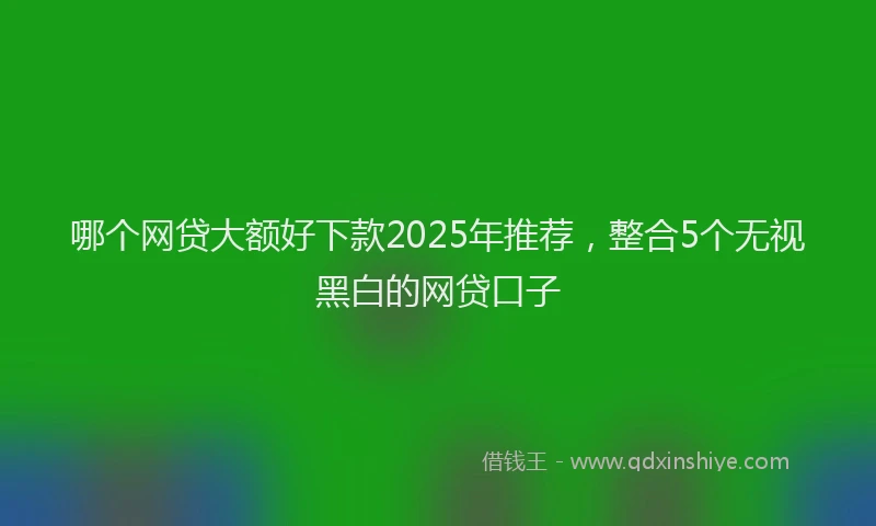 哪个网贷大额好下款2025年推荐，整合5个无视黑白的网贷口子