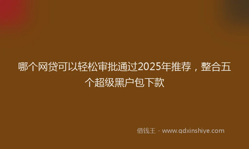 哪个网贷可以轻松审批通过2025年推荐,整合五个超级黑户包下款