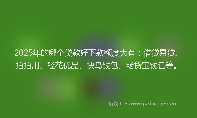 2025年的哪个贷款好下款额度大有：借贷易贷、拍拍用、轻花优品、快鸟钱包、畅贷宝钱包等。