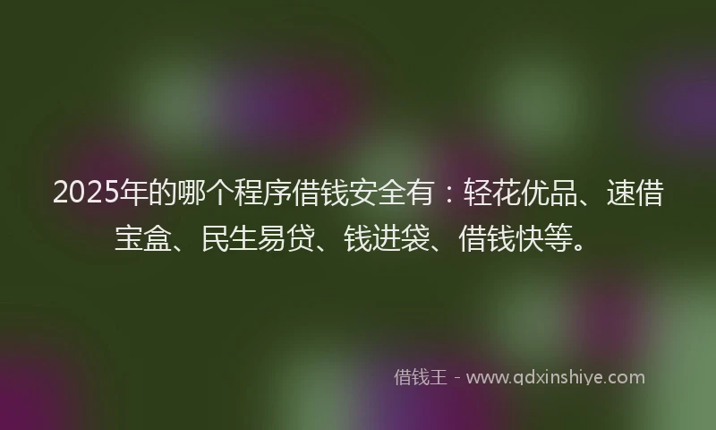 2025年的哪个程序借钱安全有:轻花优品、速借宝盒、民生易贷、钱进袋、借钱快等。