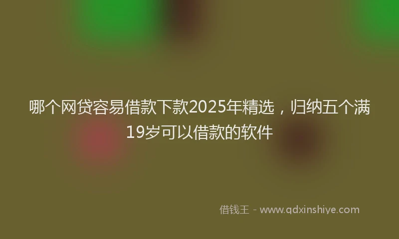 哪个网贷容易借款下款2025年精选，归纳五个满19岁可以借款的软件