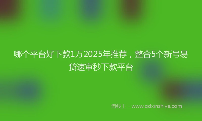 哪个平台好下款1万2025年推荐，整合5个新号易贷速审秒下款平台