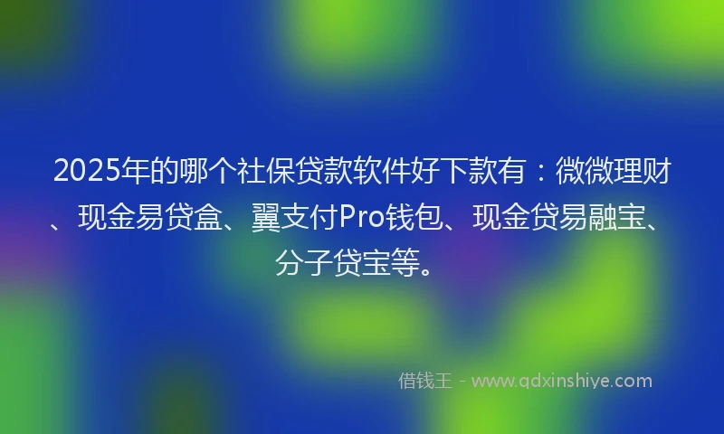 2025年的哪个社保贷款软件好下款有：微微理财、现金易贷盒、翼支付Pro钱包、现金贷易融宝、分子贷宝等。