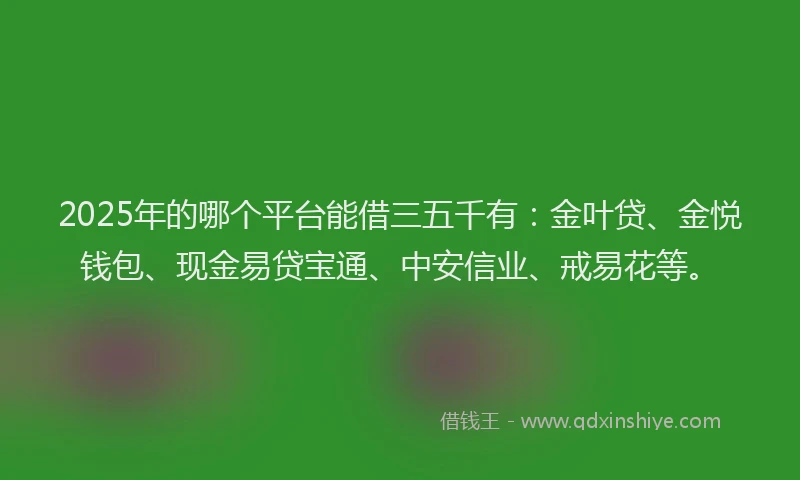 2025年的哪个平台能借三五千有：金叶贷、金悦钱包、现金易贷宝通、中安信业、戒易花等。