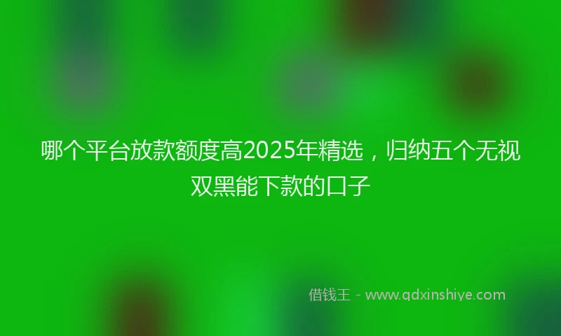 哪个平台放款额度高2025年精选,归纳五个无视双黑能下款的口子