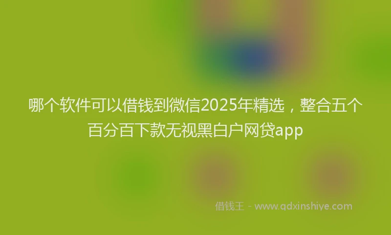 哪个软件可以借钱到微信2025年精选，整合五个百分百下款无视黑白户网贷app