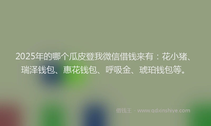 2025年的哪个瓜皮登我微信借钱来有：花小猪、瑞泽钱包、惠花钱包、呼吸金、琥珀钱包等。