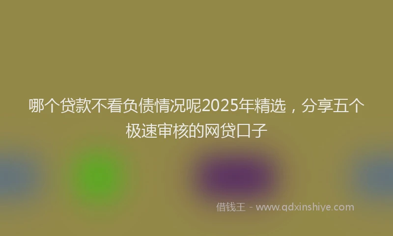 哪个贷款不看负债情况呢2025年精选，分享五个极速审核的网贷口子