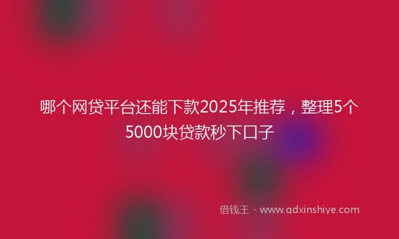 哪个网贷平台还能下款2025年推荐，整理5个5000块贷款秒下口子