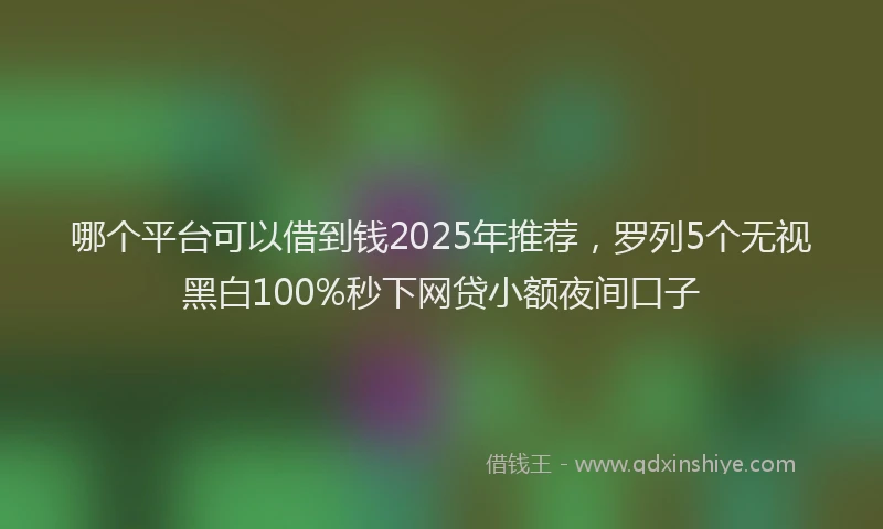 哪个平台可以借到钱2025年推荐，罗列5个无视黑白100%秒下网贷小额夜间口子