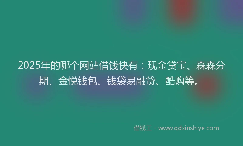 2025年的哪个网站借钱快有：现金贷宝、森森分期、金悦钱包、钱袋易融贷、酷购等。