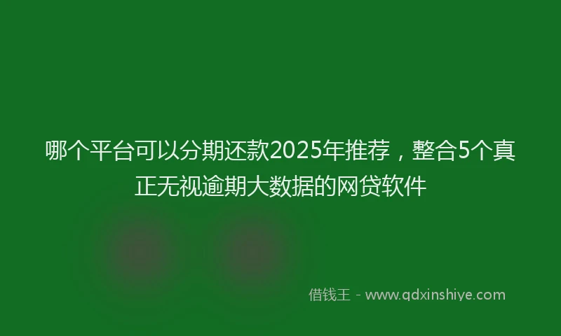 哪个平台可以分期还款2025年推荐,整合5个真正无视逾期大数据的网贷软件