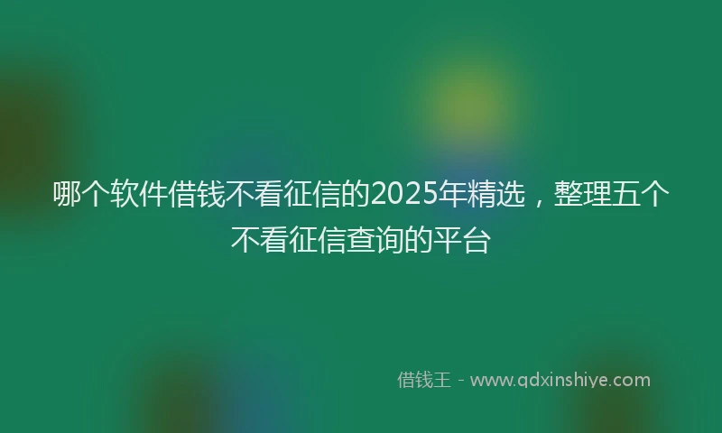哪个软件借钱不看征信的2025年精选，整理五个不看征信查询的平台
