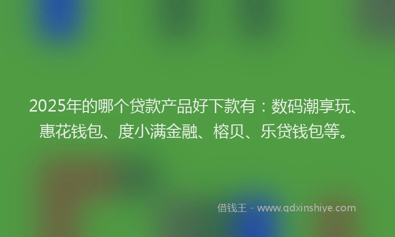 2025年的哪个贷款产品好下款有：数码潮享玩、惠花钱包、度小满金融、榕贝、乐贷钱包等。