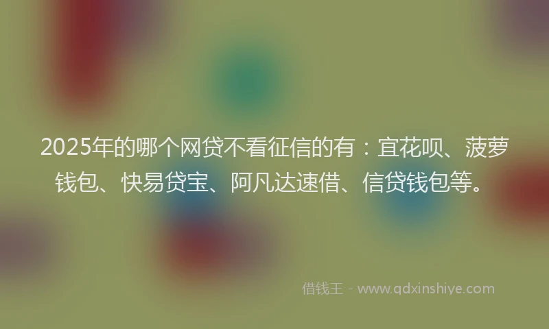 2025年的哪个网贷不看征信的有：宜花呗、菠萝钱包、快易贷宝、阿凡达速借、信贷钱包等。