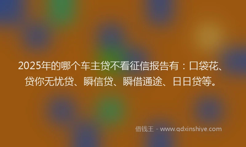 2025年的哪个车主贷不看征信报告有：口袋花、贷你无忧贷、瞬信贷、瞬借通途、日日贷等。