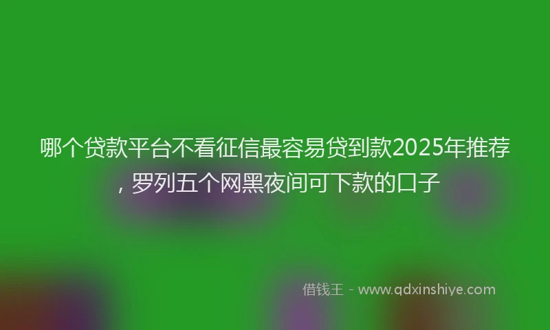 哪个贷款平台不看征信最容易贷到款2025年推荐，罗列五个网黑夜间可下款的口子