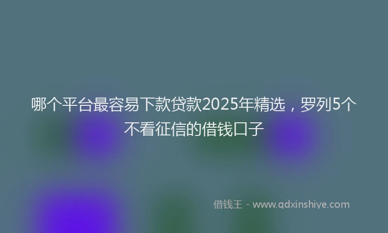 哪个平台最容易下款贷款2025年精选，罗列5个不看征信的借钱口子