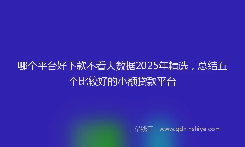 哪个平台好下款不看大数据2025年精选，总结五个比较好的小额贷款平台