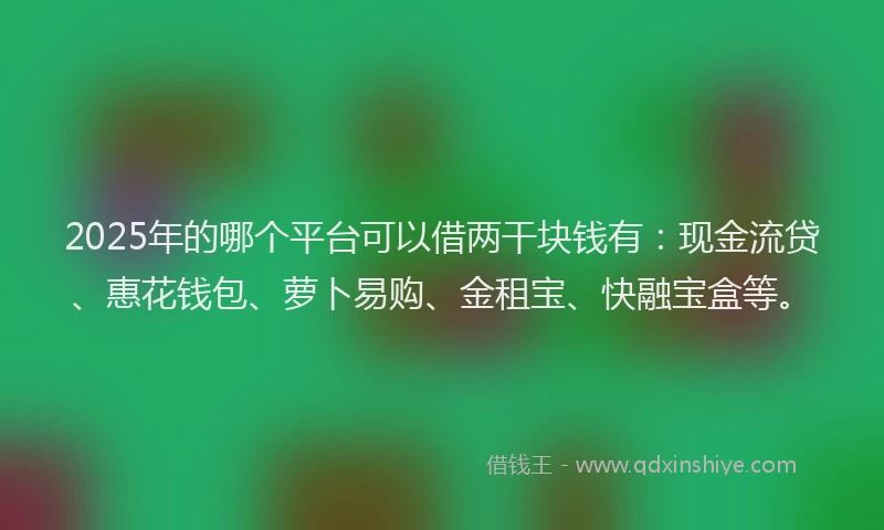 2025年的哪个平台可以借两干块钱有：现金流贷、惠花钱包、萝卜易购、金租宝、快融宝盒等。