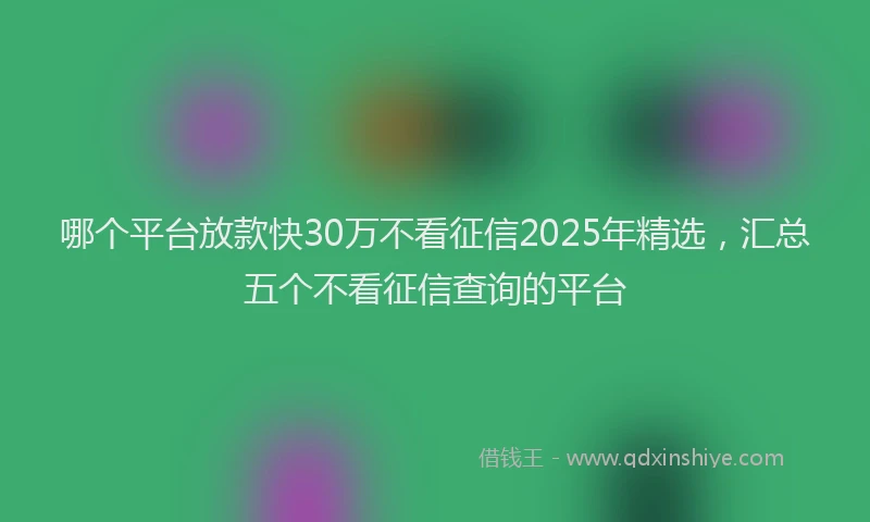 哪个平台放款快30万不看征信2025年精选，汇总五个不看征信查询的平台