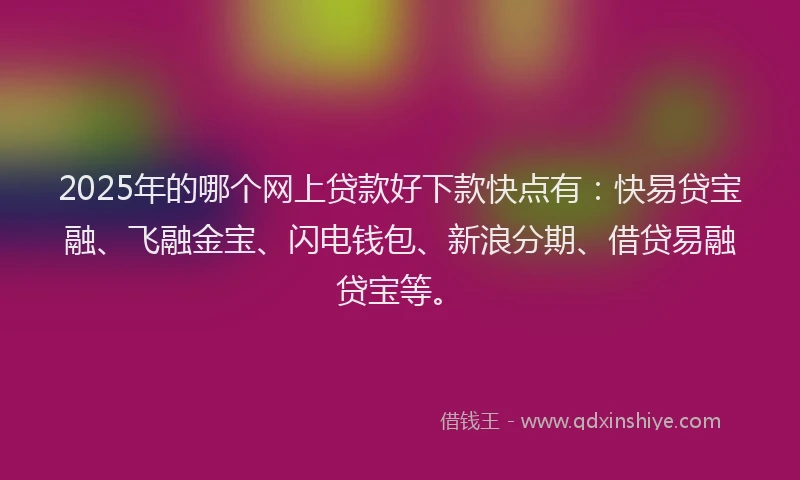 2025年的哪个网上贷款好下款快点有：快易贷宝融、飞融金宝、闪电钱包、新浪分期、借贷易融贷宝等。