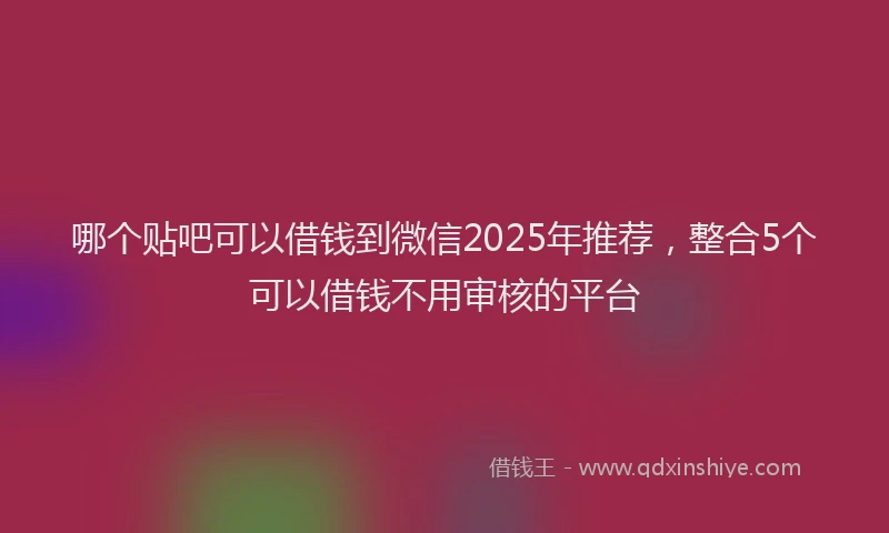 哪个贴吧可以借钱到微信2025年推荐，整合5个可以借钱不用审核的平台