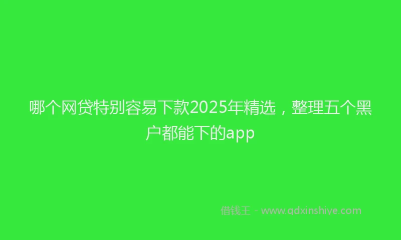 哪个网贷特别容易下款2025年精选，整理五个黑户都能下的app