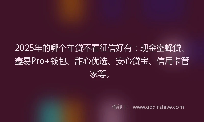 2025年的哪个车贷不看征信好有：现金蜜蜂贷、鑫易Pro+钱包、甜心优选、安心贷宝、信用卡管家等。