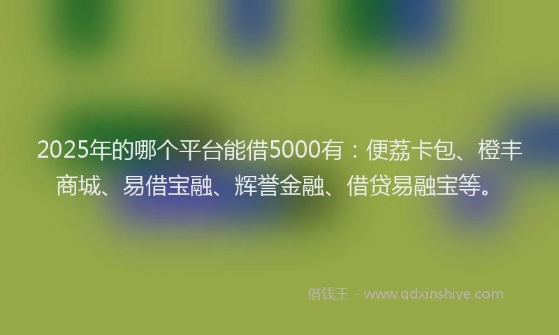 2025年的哪个平台能借5000有:便荔卡包、橙丰商城、易借宝融、辉誉金融、借贷易融宝等。