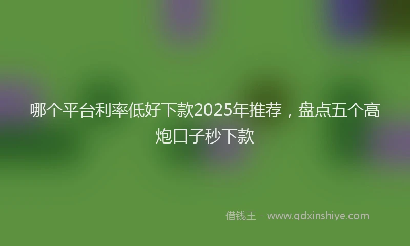 哪个平台利率低好下款2025年推荐，盘点五个高炮口子秒下款