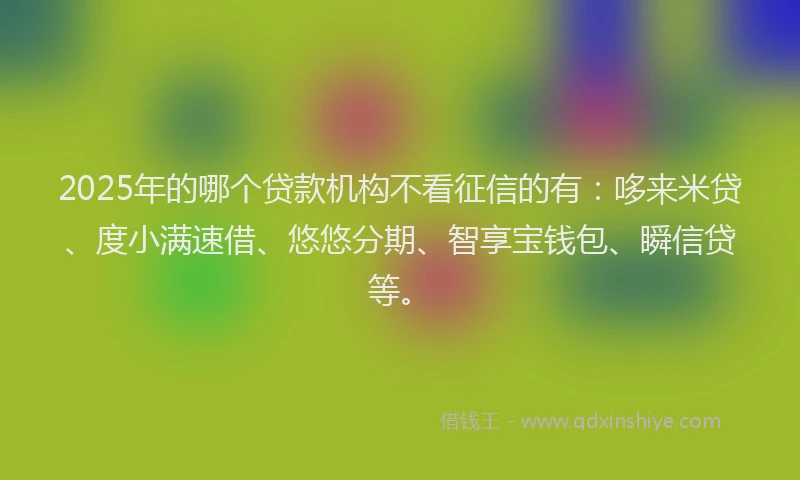 2025年的哪个贷款机构不看征信的有：哆来米贷、度小满速借、悠悠分期、智享宝钱包、瞬信贷等。