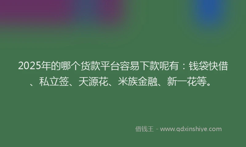 2025年的哪个货款平台容易下款呢有：钱袋快借、私立签、天源花、米族金融、新一花等。