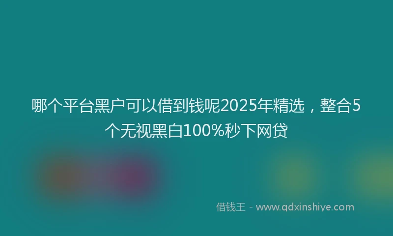哪个平台黑户可以借到钱呢2025年精选，整合5个无视黑白100%秒下网贷