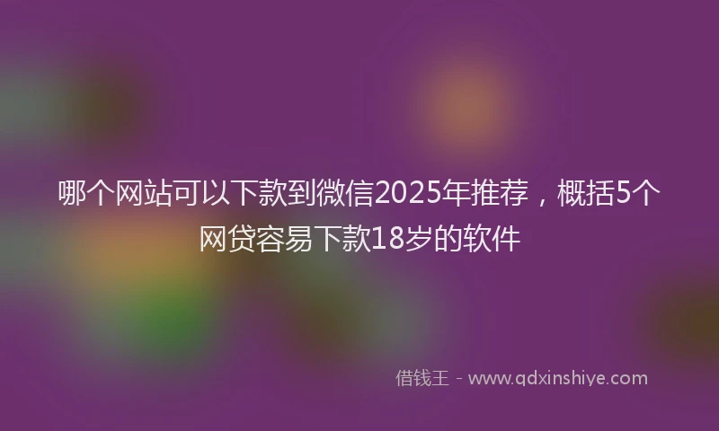 哪个网站可以下款到微信2025年推荐，概括5个网贷容易下款18岁的软件